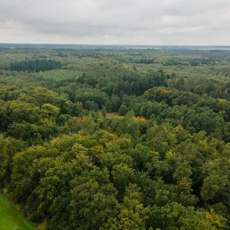 Wald Und 16b Tatil Evi *